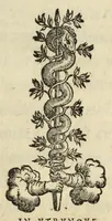 An illustration from Il gentilhuomo : in questo volume distinto in tre dialoghi si tratta la materia della nobilta, & si mostra quante ne siano le maniere, qual sia la vera, onde ella habbia havuto origine, come si acquisti, come si conservi, & come si perda : si parla della nobilta de gli huomini, & delle donne, delle persone private, & de' signori : et finalmente tra la nobilta delle arme, & delle lettere si disputa qual sia la maggiore : con la tavola delle cose notabili (1575)