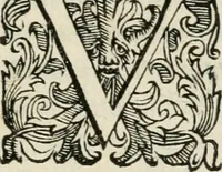 An illustration from Il givdizio di Paride; favola del s. Michelagnolo Bvonarroti (1608)