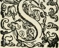 An illustration from Il givdizio di Paride; favola del s. Michelagnolo Bvonarroti (1608)