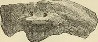 An illustration from Ilios; the city and country of the Trojans. The results of researches and discoveries on the site of Troy and throughout the Troad in the years 1871-72-73-78-79, including an autobiography of the author (1880)