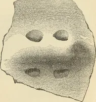 An illustration from Ilios; the city and country of the Trojans. The results of researches and discoveries on the site of Troy and throughout the Troad in the years 1871-72-73-78-79, including an autobiography of the author (1880)