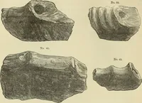 An illustration from Ilios; the city and country of the Trojans. The results of researches and discoveries on the site of Troy and throughout the Troad in the years 1871-72-73-78-79, including an autobiography of the author (1880)