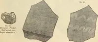 An illustration from Ilios; the city and country of the Trojans. The results of researches and discoveries on the site of Troy and throughout the Troad in the years 1871-72-73-78-79, including an autobiography of the author (1880)