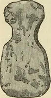 An illustration from Ilios; the city and country of the Trojans. The results of researches and discoveries on the site of Troy and throughout the Troad in the years 1871-72-73-78-79, including an autobiography of the author (1880)