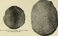 An illustration from Ilios; the city and country of the Trojans. The results of researches and discoveries on the site of Troy and throughout the Troad in the years 1871-72-73-78-79, including an autobiography of the author (1880)