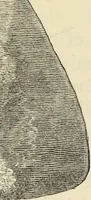 An illustration from Ilios; the city and country of the Trojans. The results of researches and discoveries on the site of Troy and throughout the Troad in the years 1871-72-73-78-79, including an autobiography of the author (1880)