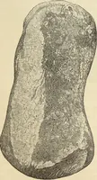 An illustration from Ilios; the city and country of the Trojans. The results of researches and discoveries on the site of Troy and throughout the Troad in the years 1871-72-73-78-79, including an autobiography of the author (1880)