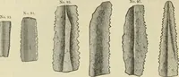 An illustration from Ilios; the city and country of the Trojans. The results of researches and discoveries on the site of Troy and throughout the Troad in the years 1871-72-73-78-79, including an autobiography of the author (1880)
