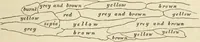 Picture 86 of 641 from Ilios; the city and country of the Trojans. The results of researches and discoveries on the site of Troy and throughout the Troad in the years 1871-72-73-78-79, including an autobiography of the author (1880), leaf 336