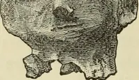An illustration from Ilios; the city and country of the Trojans. The results of researches and discoveries on the site of Troy and throughout the Troad in the years 1871-72-73-78-79, including an autobiography of the author (1880)
