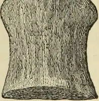 An illustration from Ilios; the city and country of the Trojans. The results of researches and discoveries on the site of Troy and throughout the Troad in the years 1871-72-73-78-79, including an autobiography of the author (1880)