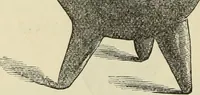 An illustration from Ilios; the city and country of the Trojans. The results of researches and discoveries on the site of Troy and throughout the Troad in the years 1871-72-73-78-79, including an autobiography of the author (1880)