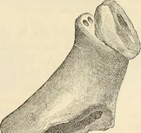 An illustration from Ilios; the city and country of the Trojans. The results of researches and discoveries on the site of Troy and throughout the Troad in the years 1871-72-73-78-79, including an autobiography of the author (1880)