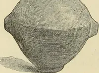An illustration from Ilios; the city and country of the Trojans. The results of researches and discoveries on the site of Troy and throughout the Troad in the years 1871-72-73-78-79, including an autobiography of the author (1880)