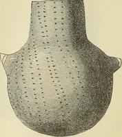 An illustration from Ilios; the city and country of the Trojans. The results of researches and discoveries on the site of Troy and throughout the Troad in the years 1871-72-73-78-79, including an autobiography of the author (1880)
