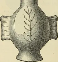 An illustration from Ilios; the city and country of the Trojans. The results of researches and discoveries on the site of Troy and throughout the Troad in the years 1871-72-73-78-79, including an autobiography of the author (1880)