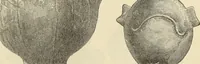 An illustration from Ilios; the city and country of the Trojans. The results of researches and discoveries on the site of Troy and throughout the Troad in the years 1871-72-73-78-79, including an autobiography of the author (1880)