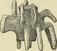 An illustration from Ilios; the city and country of the Trojans. The results of researches and discoveries on the site of Troy and throughout the Troad in the years 1871-72-73-78-79, including an autobiography of the author (1880)