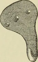 An illustration from Ilios; the city and country of the Trojans. The results of researches and discoveries on the site of Troy and throughout the Troad in the years 1871-72-73-78-79, including an autobiography of the author (1880)