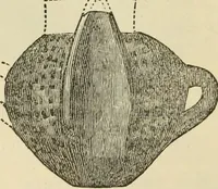 An illustration from Ilios; the city and country of the Trojans. The results of researches and discoveries on the site of Troy and throughout the Troad in the years 1871-72-73-78-79, including an autobiography of the author (1880)