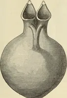 An illustration from Ilios; the city and country of the Trojans. The results of researches and discoveries on the site of Troy and throughout the Troad in the years 1871-72-73-78-79, including an autobiography of the author (1880)