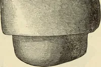 An illustration from Ilios; the city and country of the Trojans. The results of researches and discoveries on the site of Troy and throughout the Troad in the years 1871-72-73-78-79, including an autobiography of the author (1880)