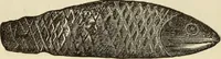An illustration from Ilios; the city and country of the Trojans. The results of researches and discoveries on the site of Troy and throughout the Troad in the years 1871-72-73-78-79, including an autobiography of the author (1880)