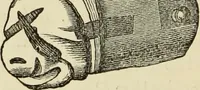 An illustration from Ilios; the city and country of the Trojans. The results of researches and discoveries on the site of Troy and throughout the Troad in the years 1871-72-73-78-79, including an autobiography of the author (1880)