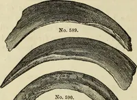 An illustration from Ilios; the city and country of the Trojans. The results of researches and discoveries on the site of Troy and throughout the Troad in the years 1871-72-73-78-79, including an autobiography of the author (1880)