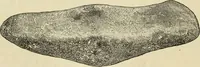 An illustration from Ilios; the city and country of the Trojans. The results of researches and discoveries on the site of Troy and throughout the Troad in the years 1871-72-73-78-79, including an autobiography of the author (1880)