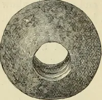 An illustration from Ilios; the city and country of the Trojans. The results of researches and discoveries on the site of Troy and throughout the Troad in the years 1871-72-73-78-79, including an autobiography of the author (1880)