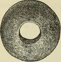 An illustration from Ilios; the city and country of the Trojans. The results of researches and discoveries on the site of Troy and throughout the Troad in the years 1871-72-73-78-79, including an autobiography of the author (1880)