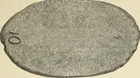 An illustration from Ilios; the city and country of the Trojans. The results of researches and discoveries on the site of Troy and throughout the Troad in the years 1871-72-73-78-79, including an autobiography of the author (1880)