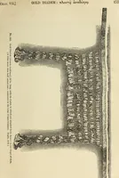 Picture 287 of 641 from Ilios; the city and country of the Trojans. The results of researches and discoveries on the site of Troy and throughout the Troad in the years 1871-72-73-78-79, including an autobiography of the author (1880), leaf 484
