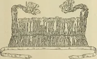 An illustration from Ilios; the city and country of the Trojans. The results of researches and discoveries on the site of Troy and throughout the Troad in the years 1871-72-73-78-79, including an autobiography of the author (1880)