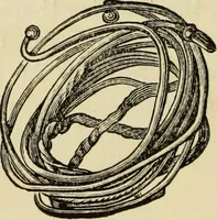An illustration from Ilios; the city and country of the Trojans. The results of researches and discoveries on the site of Troy and throughout the Troad in the years 1871-72-73-78-79, including an autobiography of the author (1880)