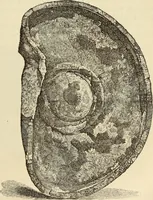 An illustration from Ilios; the city and country of the Trojans. The results of researches and discoveries on the site of Troy and throughout the Troad in the years 1871-72-73-78-79, including an autobiography of the author (1880)