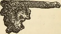 Picture 311 of 641 from Ilios; the city and country of the Trojans. The results of researches and discoveries on the site of Troy and throughout the Troad in the years 1871-72-73-78-79, including an autobiography of the author (1880), leaf 512