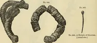 An illustration from Ilios; the city and country of the Trojans. The results of researches and discoveries on the site of Troy and throughout the Troad in the years 1871-72-73-78-79, including an autobiography of the author (1880)