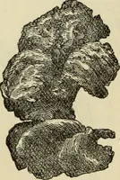 An illustration from Ilios; the city and country of the Trojans. The results of researches and discoveries on the site of Troy and throughout the Troad in the years 1871-72-73-78-79, including an autobiography of the author (1880)
