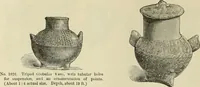 Picture 364 of 641 from Ilios; the city and country of the Trojans. The results of researches and discoveries on the site of Troy and throughout the Troad in the years 1871-72-73-78-79, including an autobiography of the author (1880), leaf 559