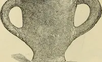 An illustration from Ilios; the city and country of the Trojans. The results of researches and discoveries on the site of Troy and throughout the Troad in the years 1871-72-73-78-79, including an autobiography of the author (1880)