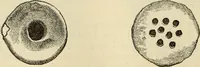 An illustration from Ilios; the city and country of the Trojans. The results of researches and discoveries on the site of Troy and throughout the Troad in the years 1871-72-73-78-79, including an autobiography of the author (1880)