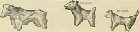 An illustration from Ilios; the city and country of the Trojans. The results of researches and discoveries on the site of Troy and throughout the Troad in the years 1871-72-73-78-79, including an autobiography of the author (1880)