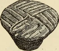 An illustration from Ilios; the city and country of the Trojans. The results of researches and discoveries on the site of Troy and throughout the Troad in the years 1871-72-73-78-79, including an autobiography of the author (1880)