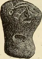 An illustration from Ilios; the city and country of the Trojans. The results of researches and discoveries on the site of Troy and throughout the Troad in the years 1871-72-73-78-79, including an autobiography of the author (1880)