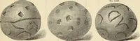 An illustration from Ilios; the city and country of the Trojans. The results of researches and discoveries on the site of Troy and throughout the Troad in the years 1871-72-73-78-79, including an autobiography of the author (1880)