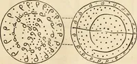 An illustration from Ilios; the city and country of the Trojans. The results of researches and discoveries on the site of Troy and throughout the Troad in the years 1871-72-73-78-79, including an autobiography of the author (1880)
