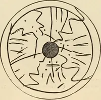 An illustration from Ilios; the city and country of the Trojans. The results of researches and discoveries on the site of Troy and throughout the Troad in the years 1871-72-73-78-79, including an autobiography of the author (1880)