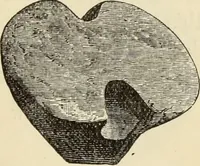 An illustration from Ilios; the city and country of the Trojans. The results of researches and discoveries on the site of Troy and throughout the Troad in the years 1871-72-73-78-79, including an autobiography of the author (1880)